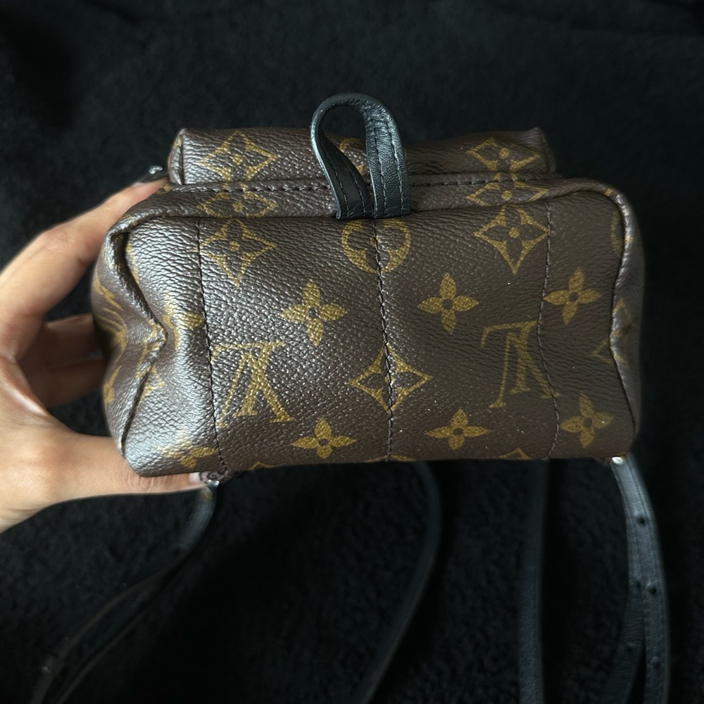 Louis Vuitton Palm Springs Mini Backpack Monogram Brown Leather Crossbody Bag - Picture 4 of 11
